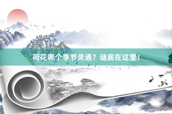 荷花哪个季节灵通？谜底在这里！