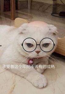 娱乐吃瓜君和刘二豆